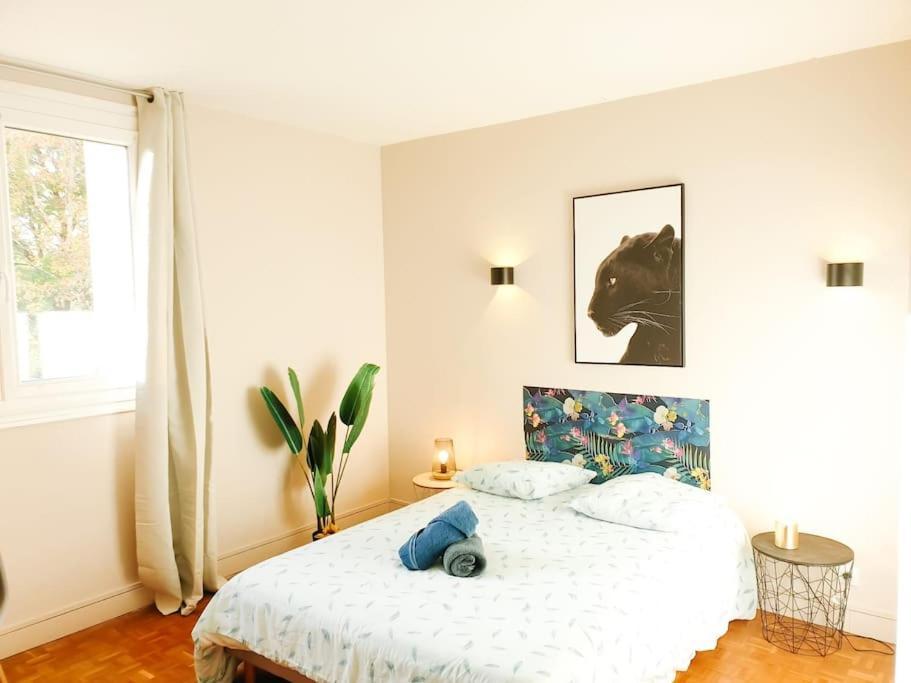 Cosy Mure 4Ch - Stationnement Gratuit Pau Exterior foto