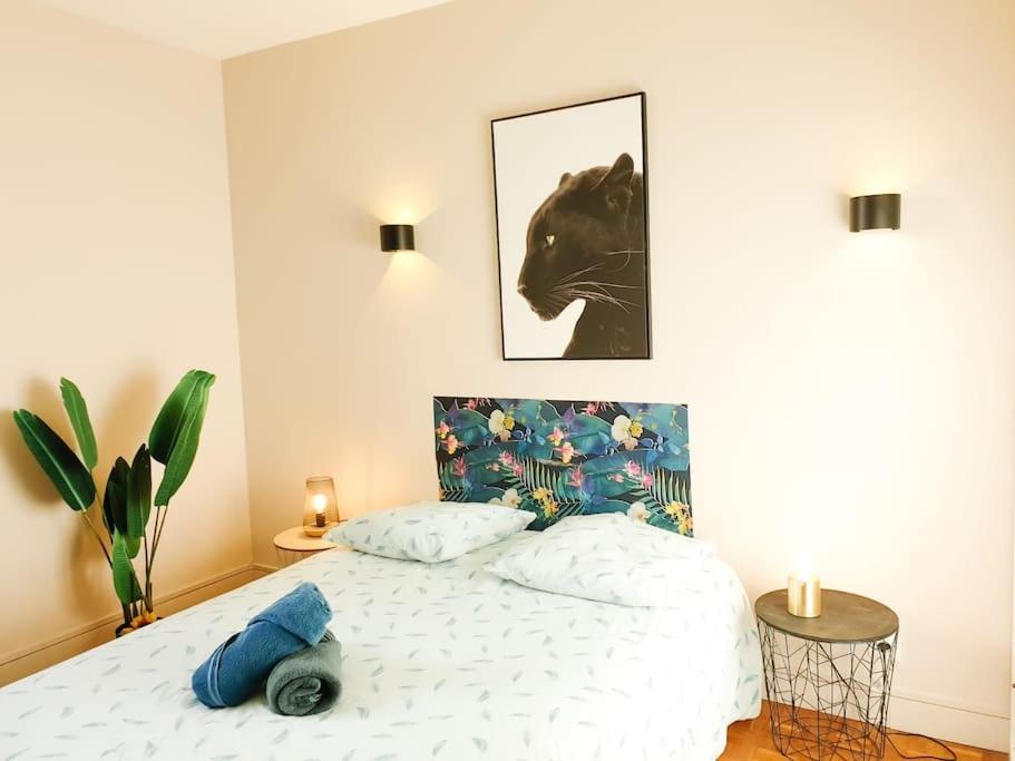 Cosy Mure 4Ch - Stationnement Gratuit Pau Exterior foto